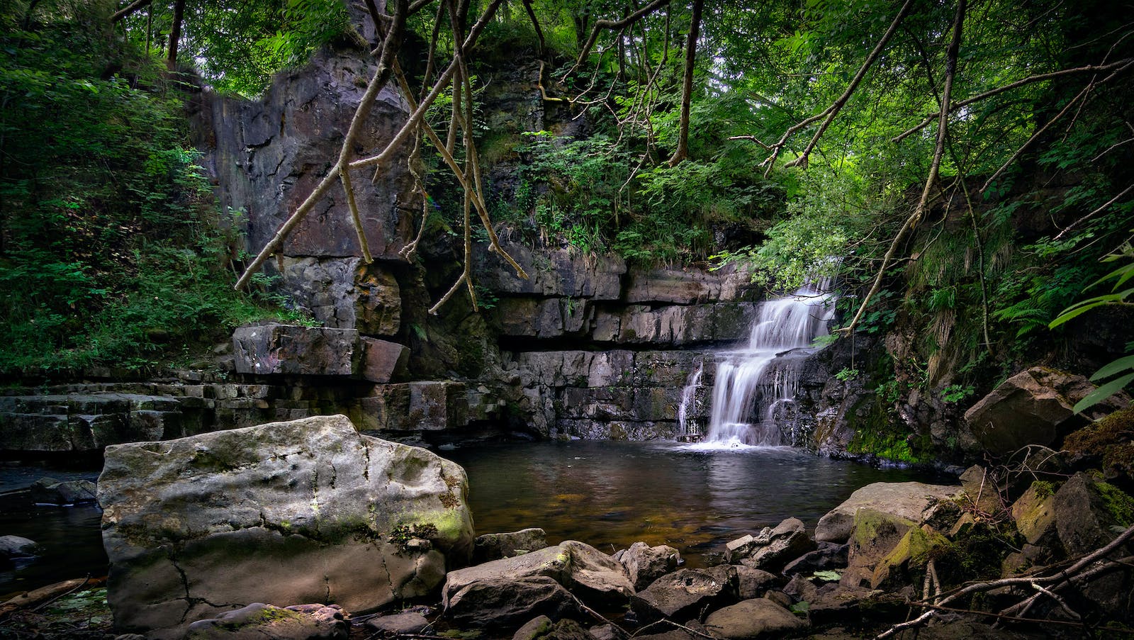 Waterfall in Forest